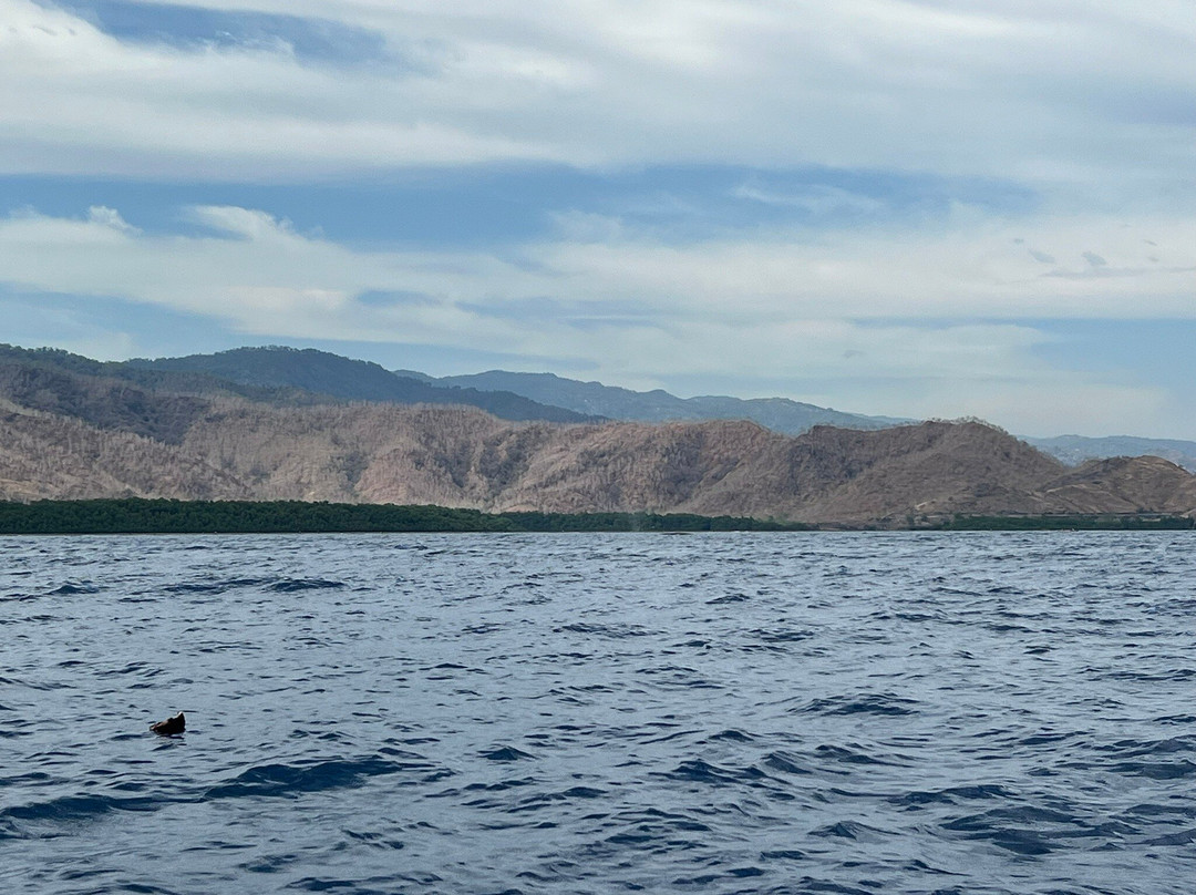 Dive Timor Lorosae景点图片