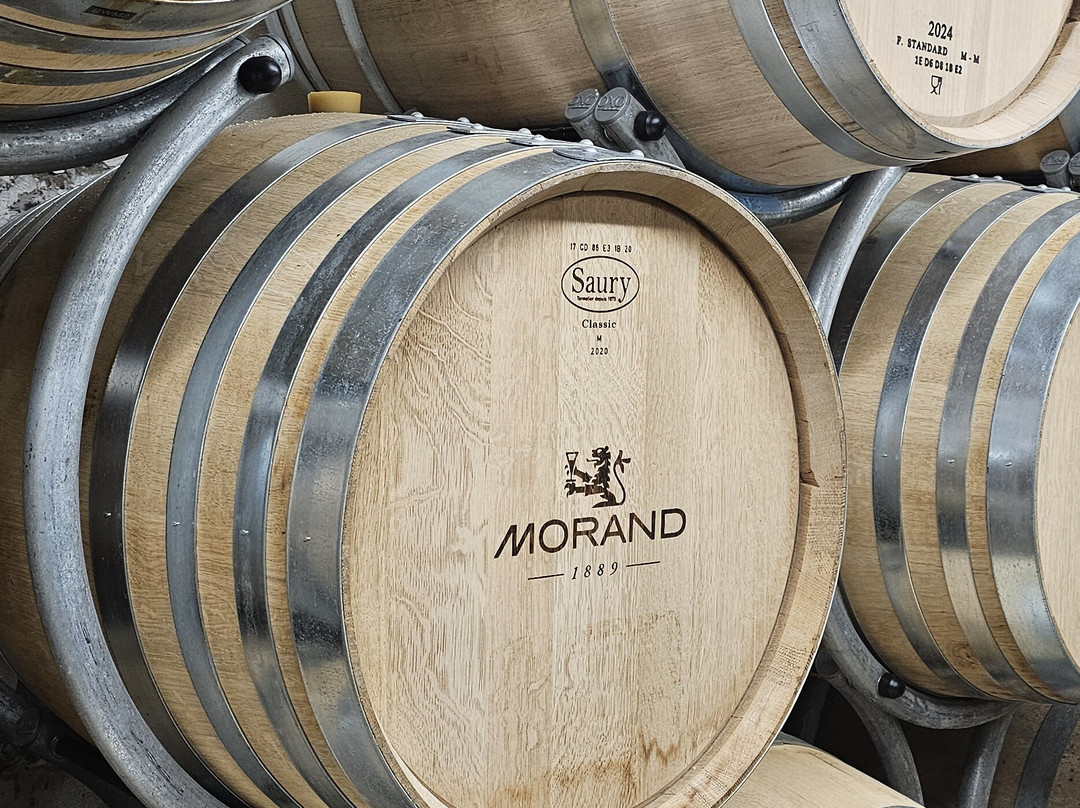 Distillerie Louis Morand & Cie SA-马蒂尼必去景点