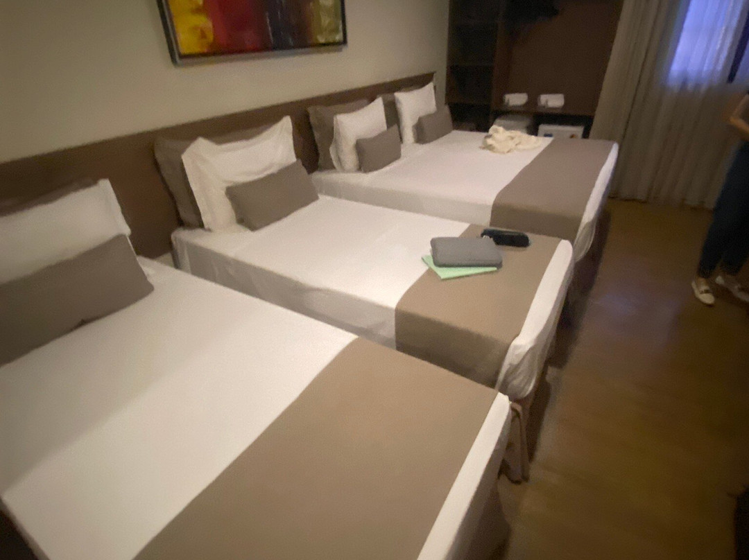 Vida Plaza Hotel主图