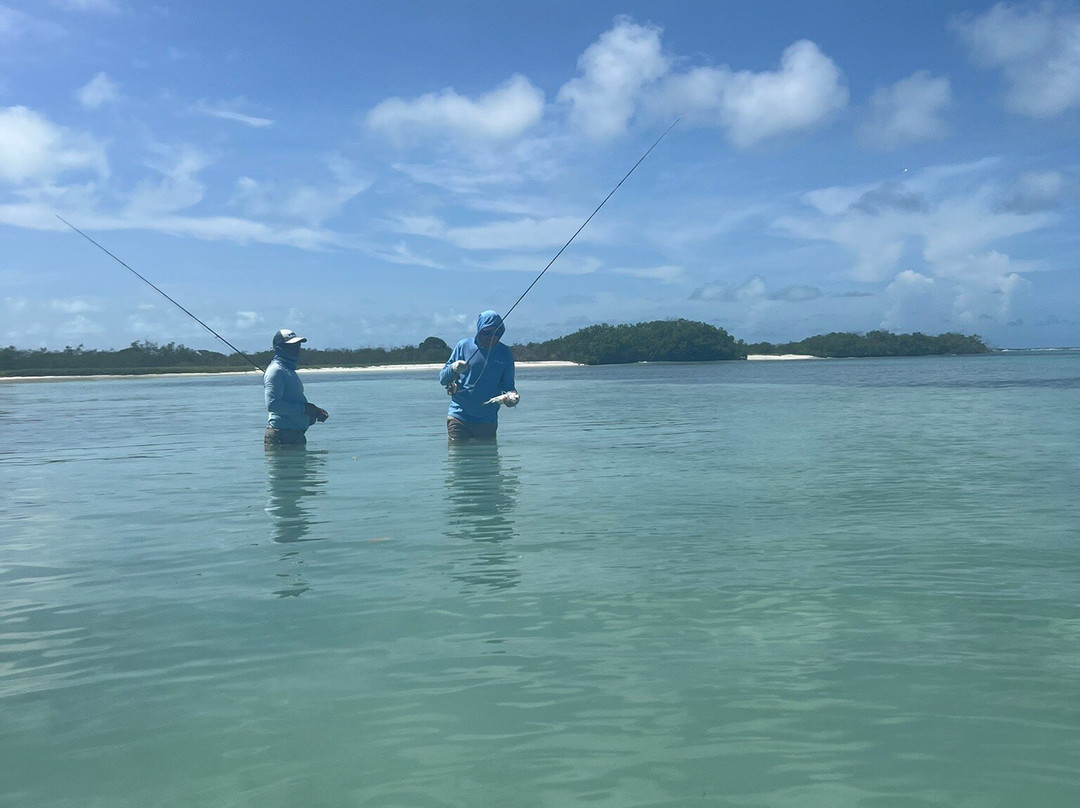 Posada Acuarela主图