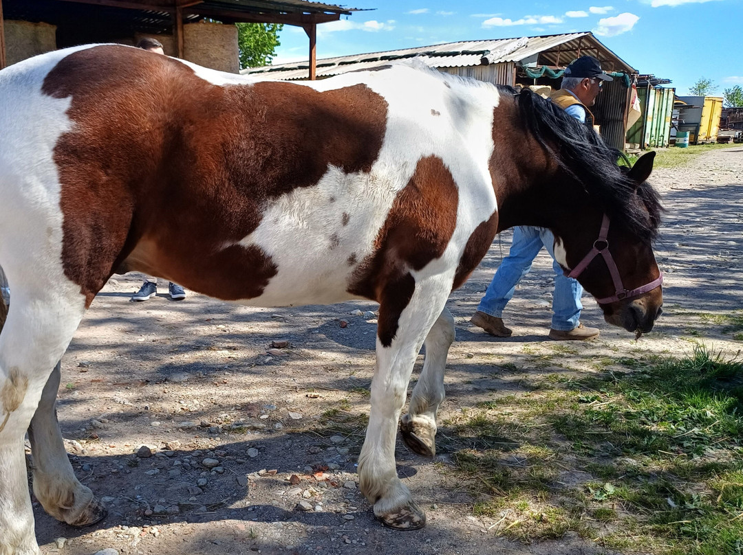 Fattoria Piolanti-Lazzate必去景点