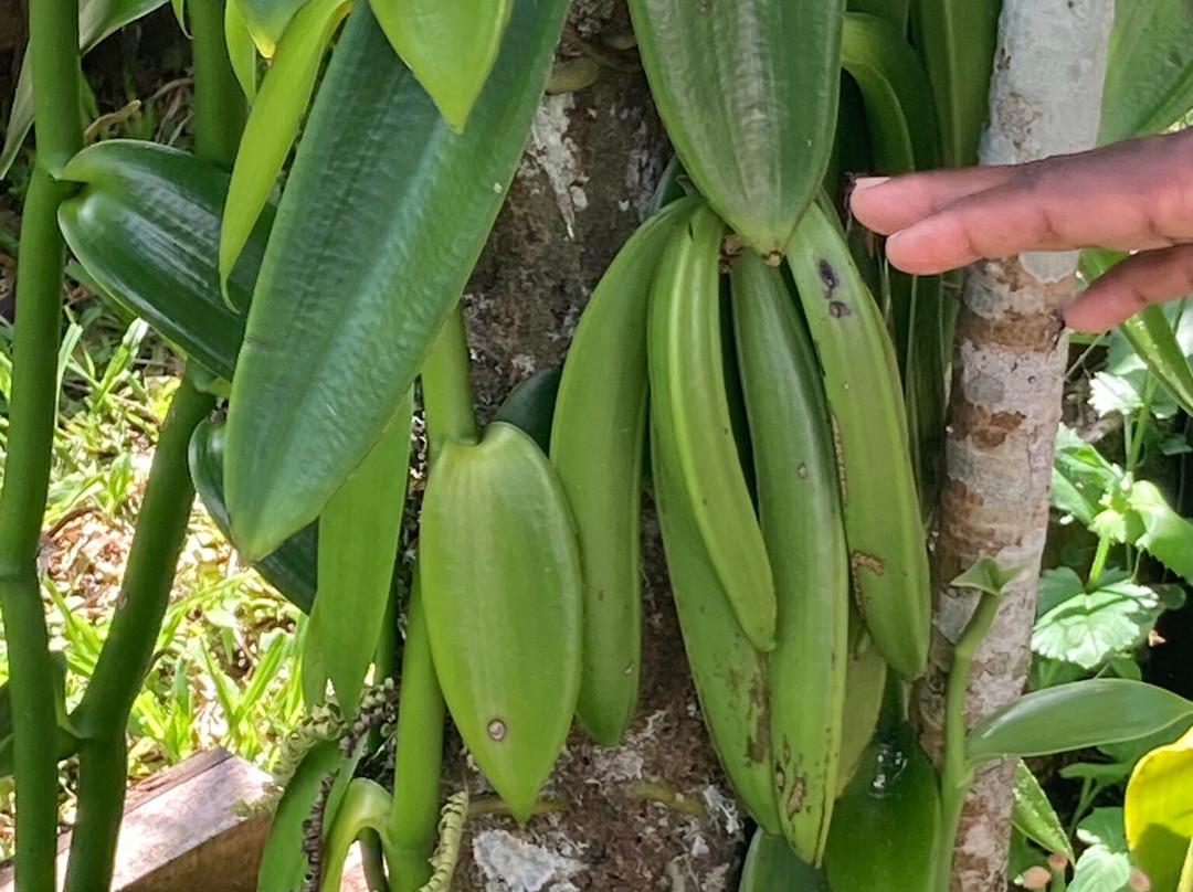 Le Domaine de la Vallee主图