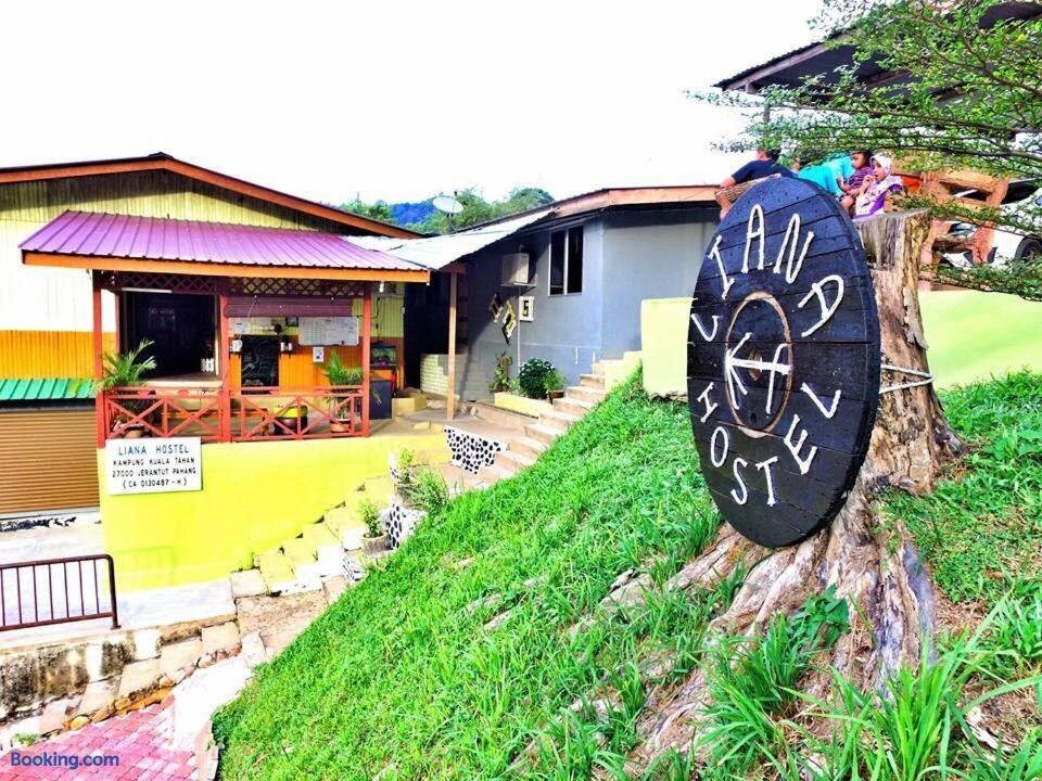 Liana Hostel