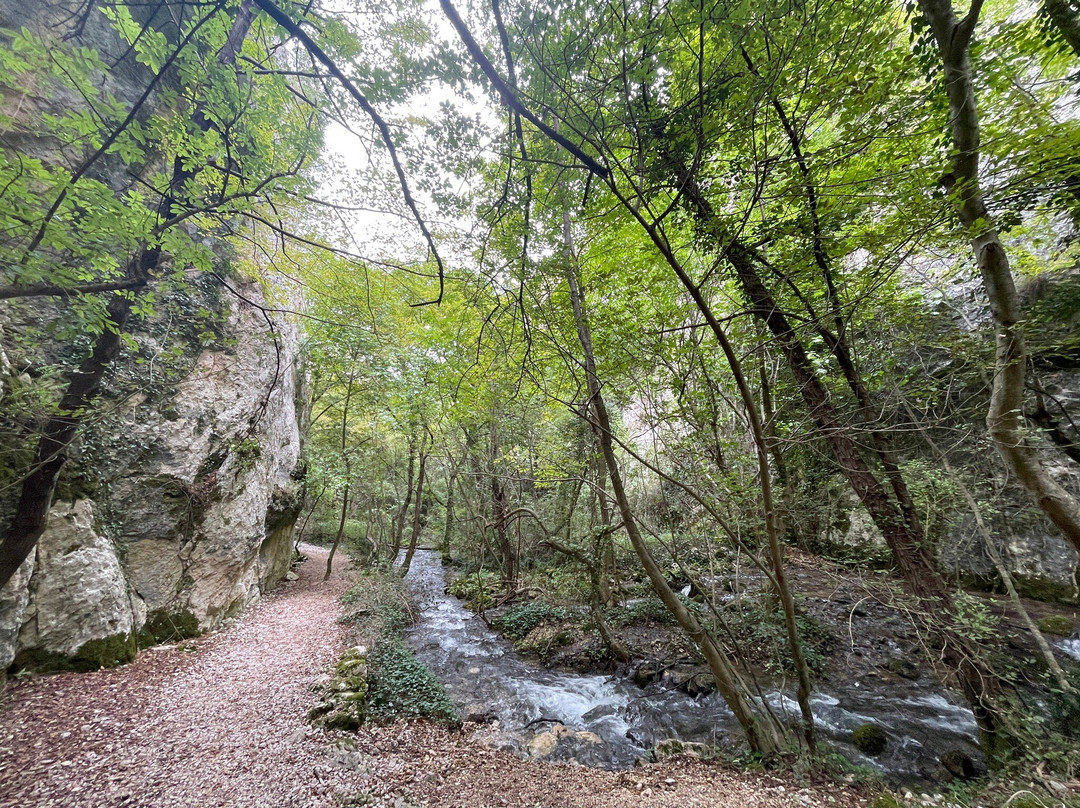 Riserva Naturale Gole del Sagittario景点图片