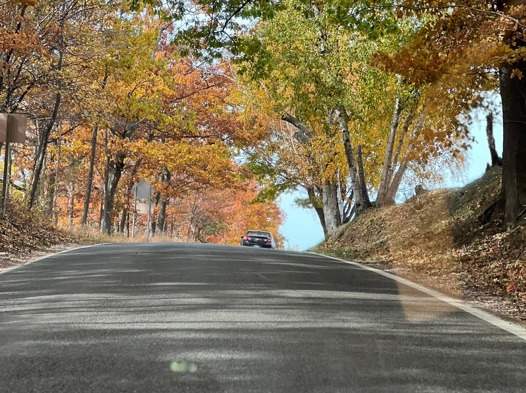 Best Western Of Harbor Springs主图