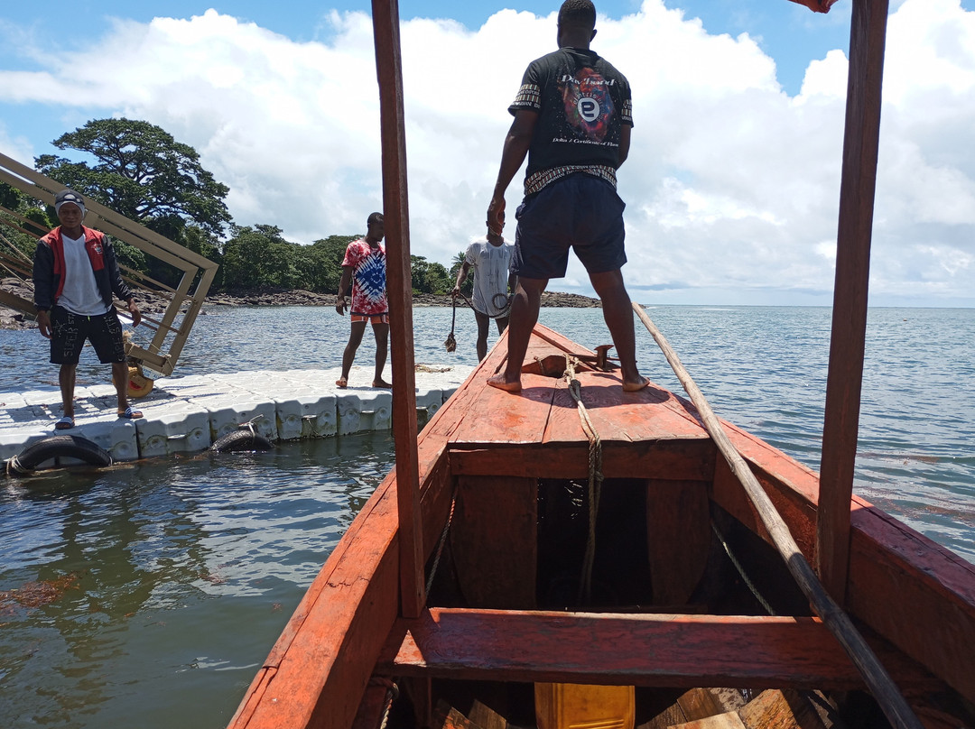 Daltons Banana Guest House主图