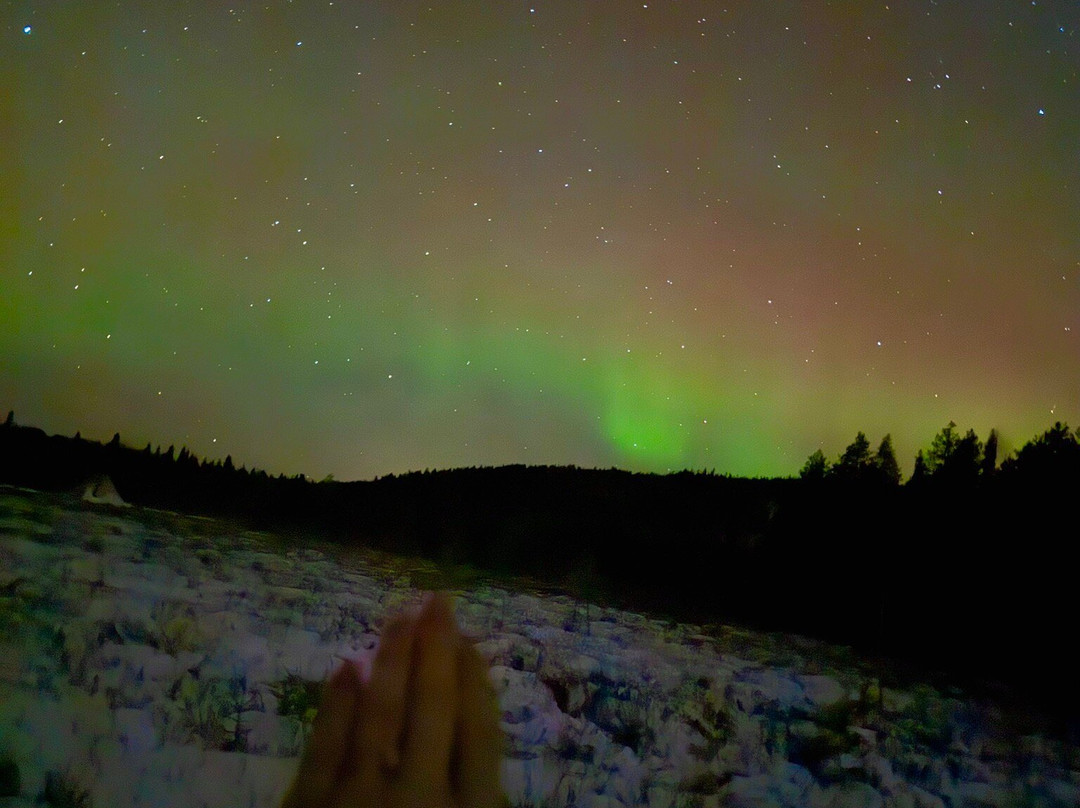 Happy Fox-罗瓦涅米必去景点