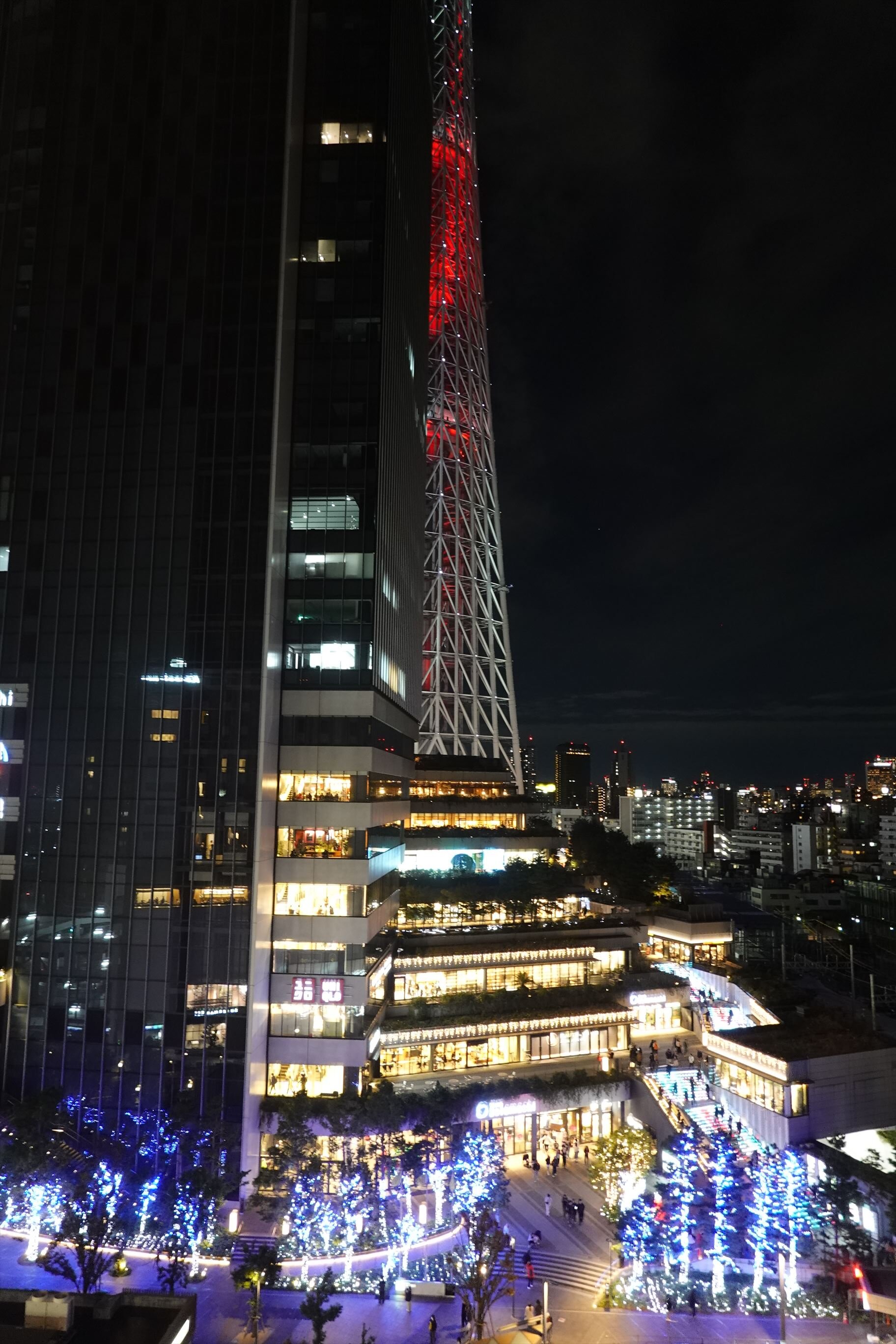 东京押上普瑞米尔里士满酒店-酒店景观