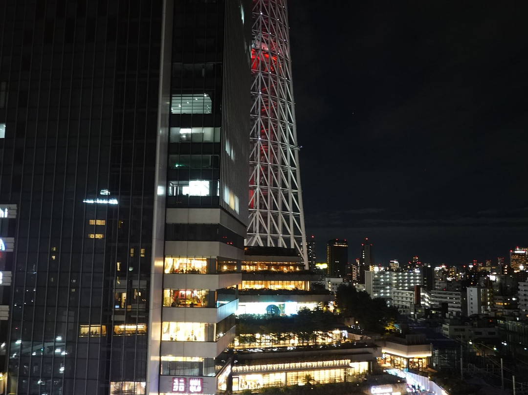 东京押上普瑞米尔里士满酒店主图