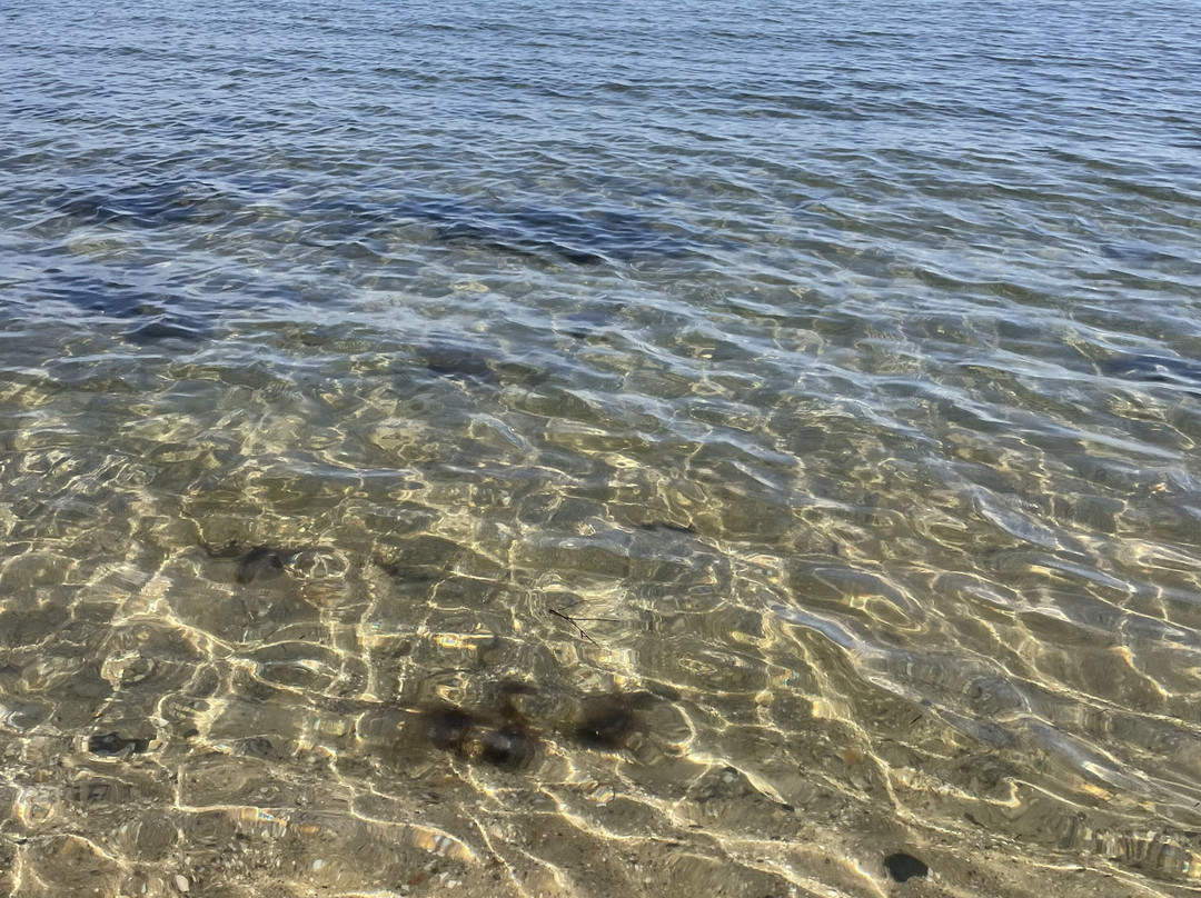 Portarlington Beach-Portarlington必去景点