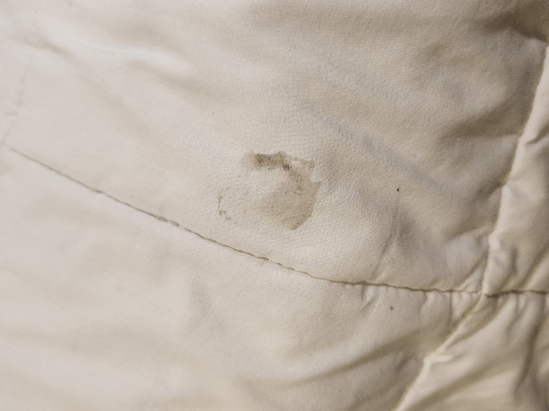 Hotel Mision Express Monterrey Aeropuerto La Fe主图