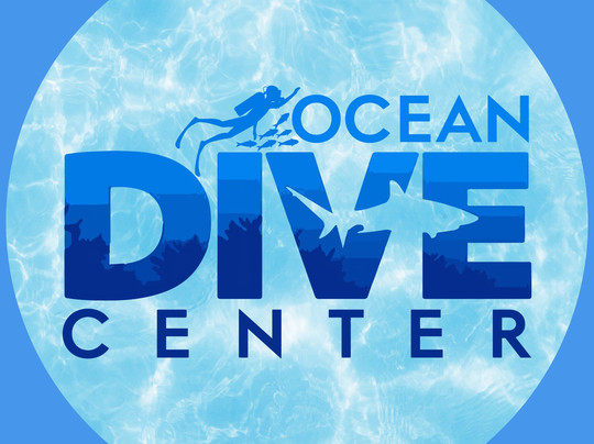 Ocean Dive Center-阿布扎比必去景点