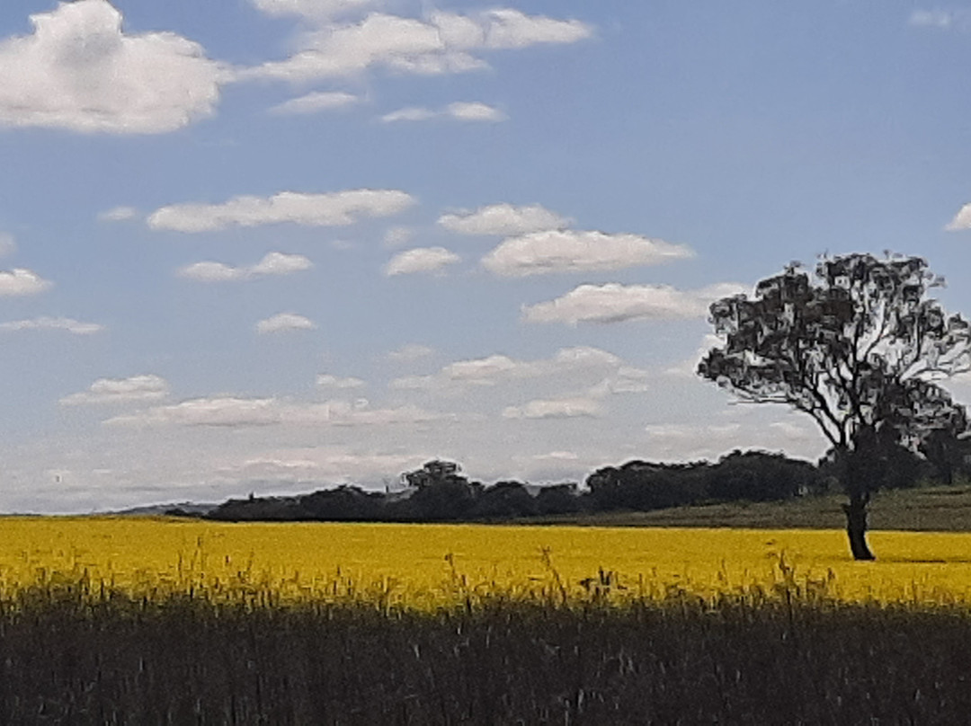 Cowra Prisoner of War Camp景点图片