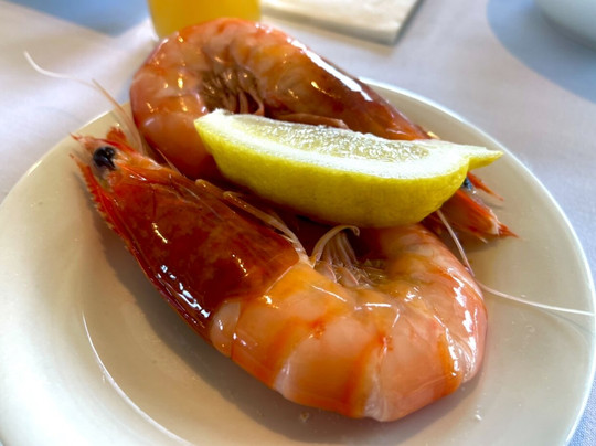 Lady Cutler Melbourne Showboat-墨尔本必去景点