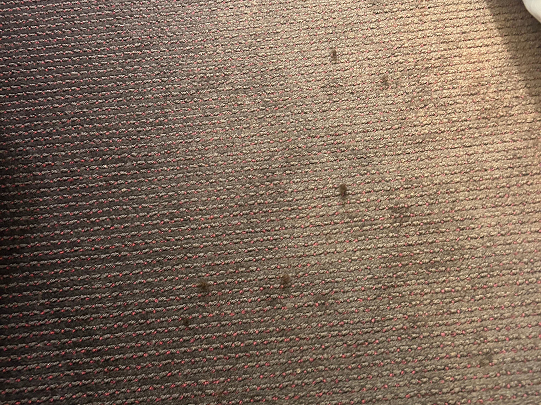 最佳西方圣莫里斯酒店主图