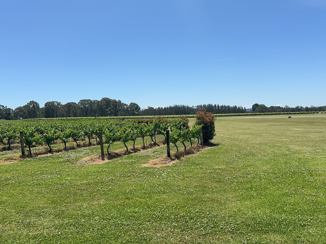 猎人谷红酒品尝之旅-悉尼必去景点