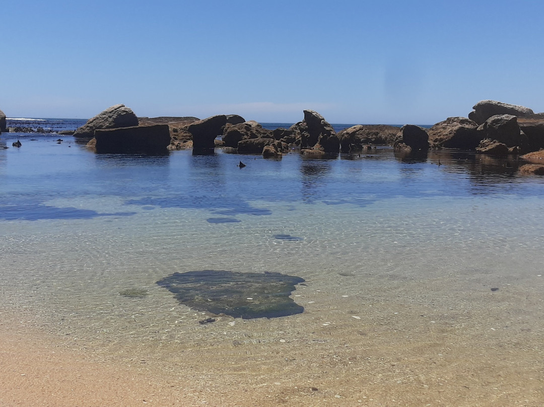 Oudekraal Beach-Cape Point必去景点