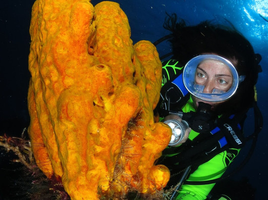 Dressel Divers Cozumel-考祖梅必去景点