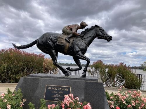 Black Caviar Statue-Nagambie必去景点