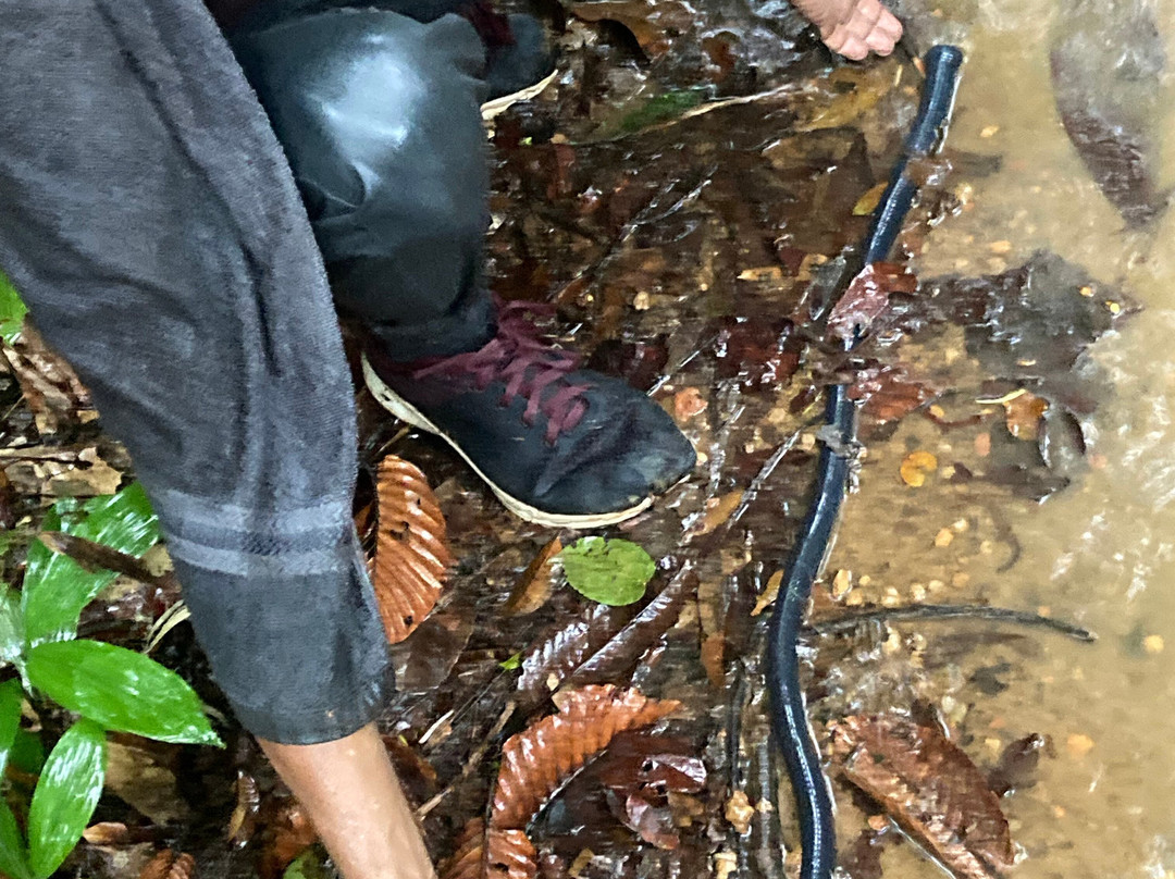 Dala's Tours-Deniyaya必去景点