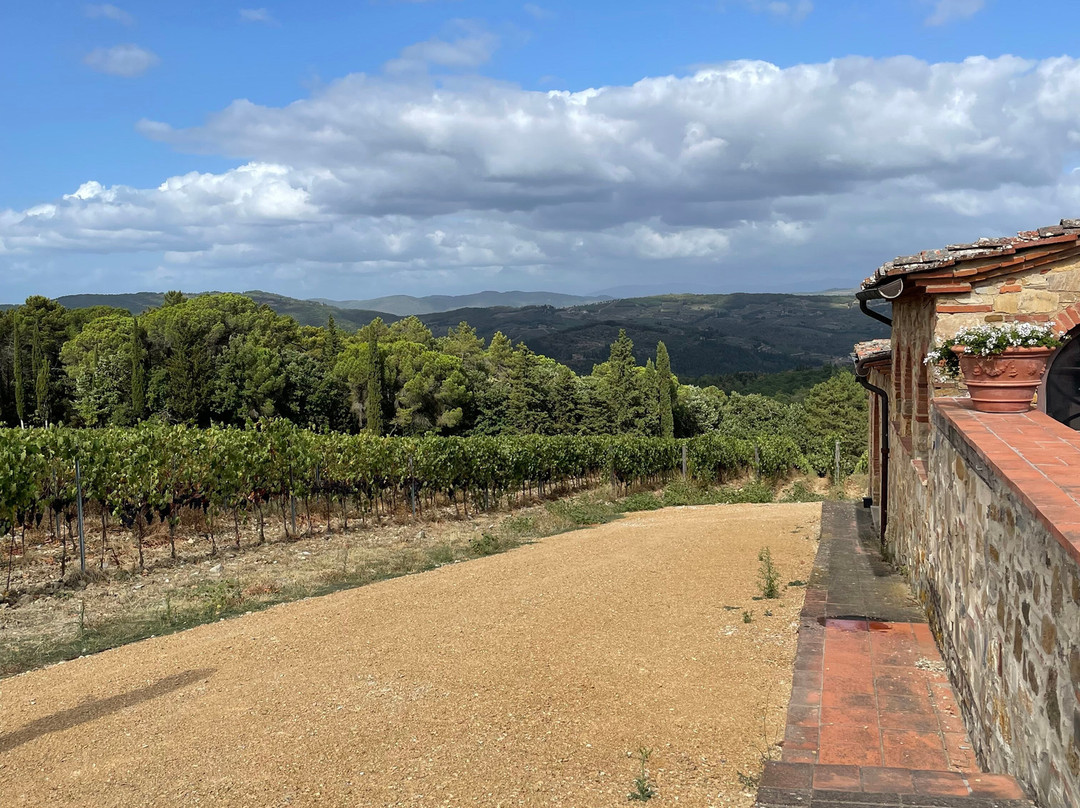Fattoria di Montecchio景点图片