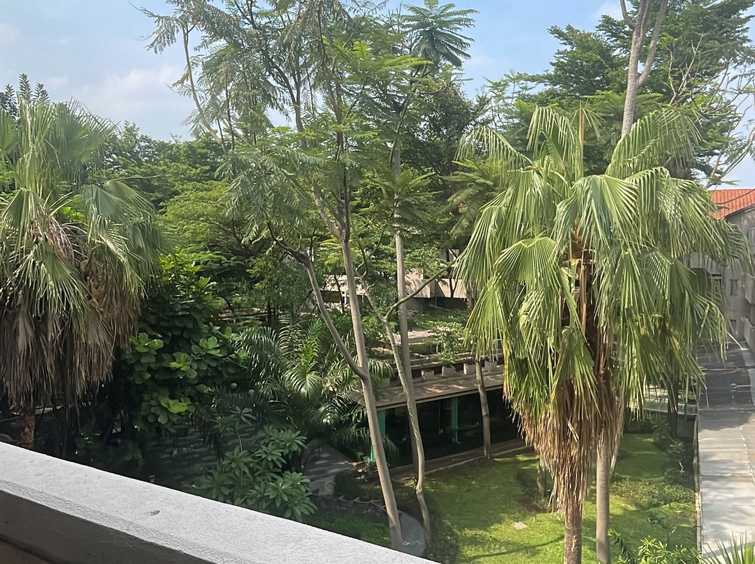 凤凰木酒店主图