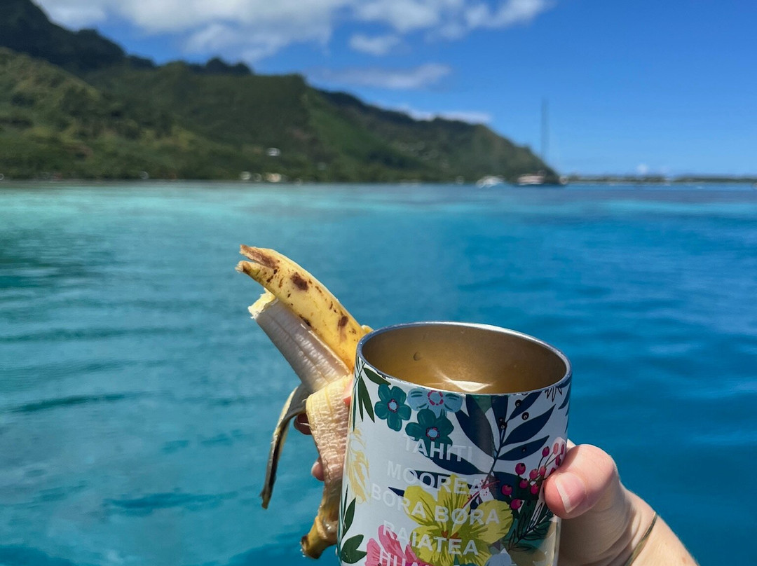 Moorea Underwater Experience-Temae必去景点