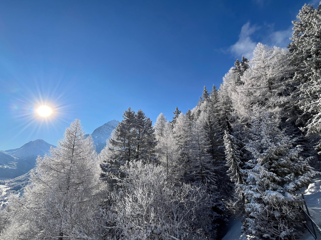 Waldhotel Fletschhorn主图