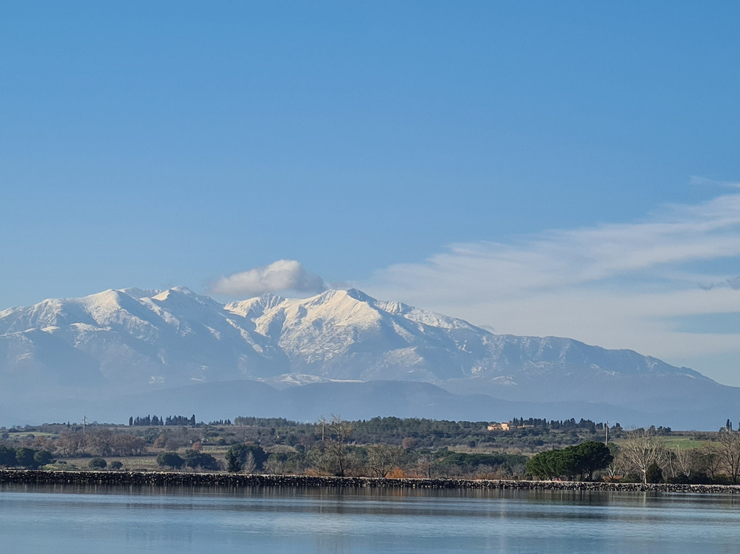 Lac de Villeneuve-de-la-Raho景点图片