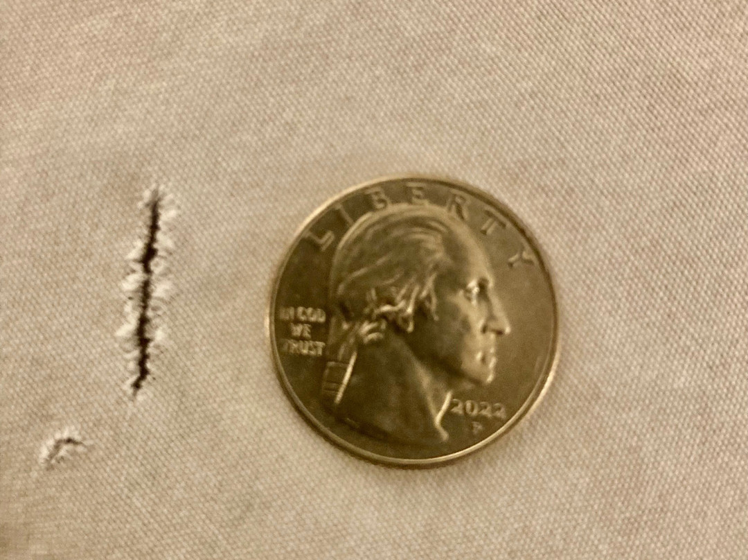 Sheraton Baltimore Washington Airport Hotel - BWI主图