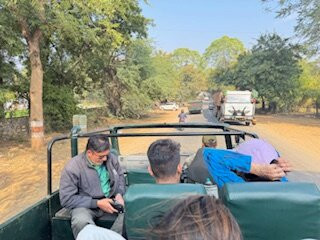 Ranthambore Jungle Safari景点图片