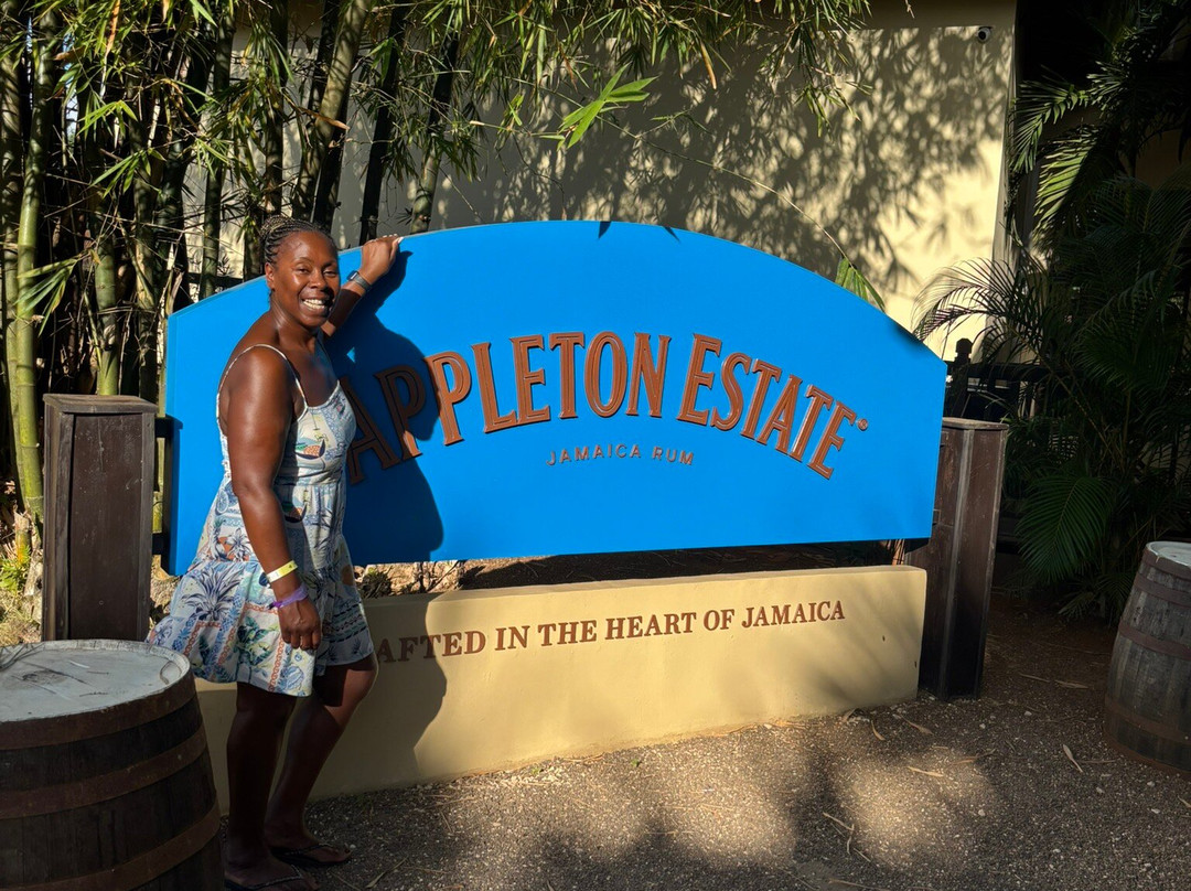 DToursJamaica-蒙特戈贝必去景点