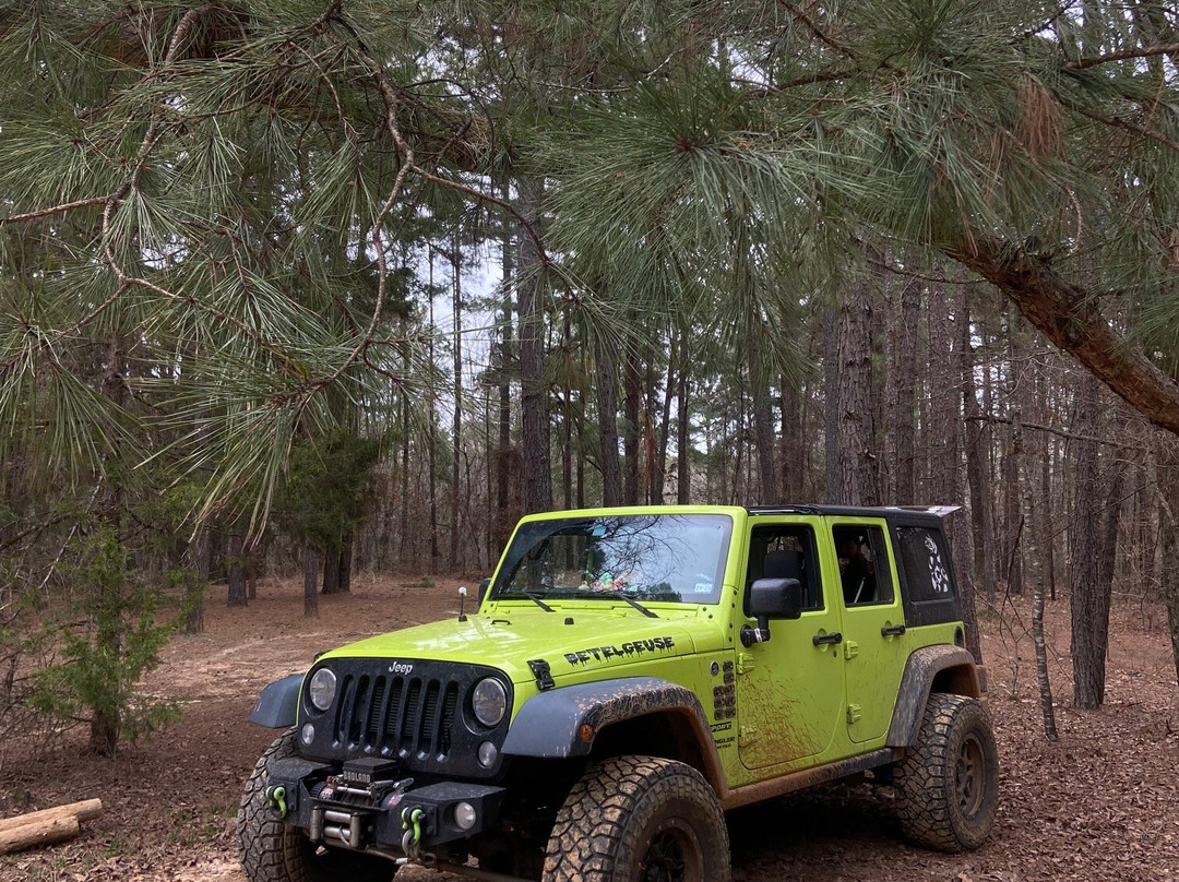 Barnwell Mountain Recreation Area-Gilmer必去景点
