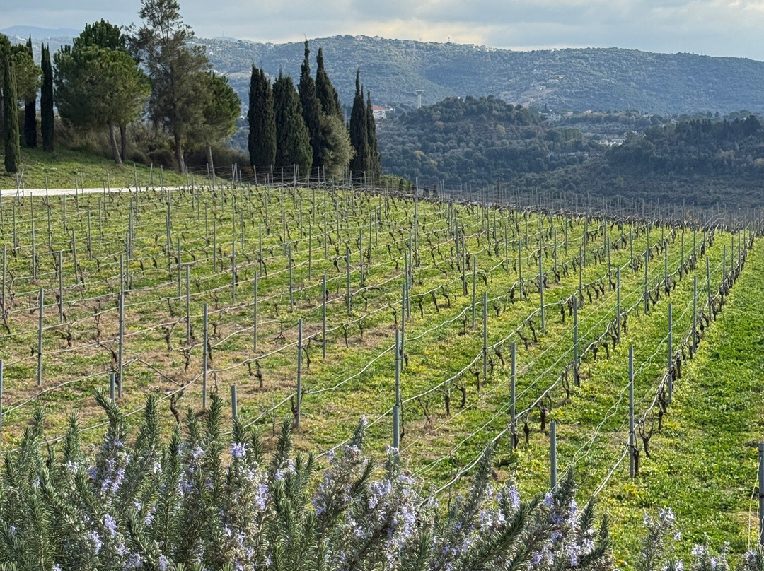 Ixsir-Batroun必去景点