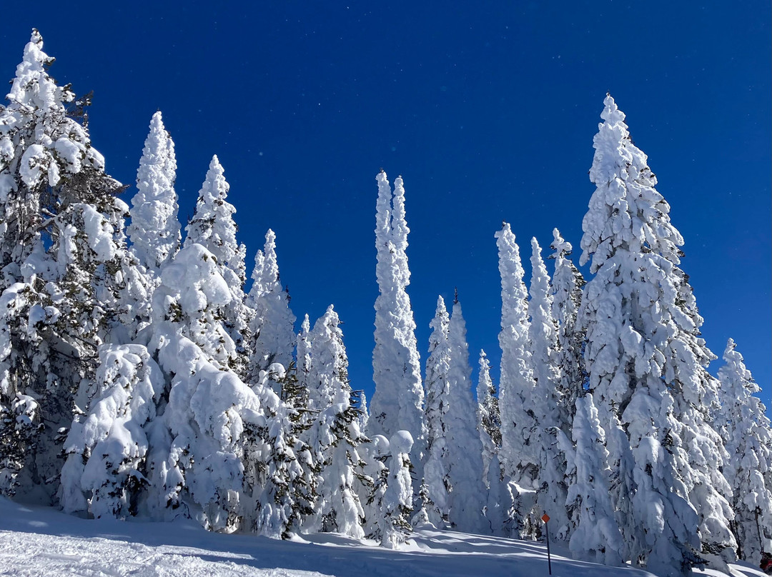 Travelers Snowmobile Rentals-西黄石镇必去景点