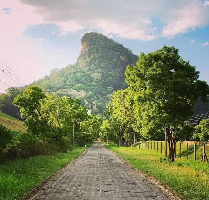 Hotel Lake Jay主图