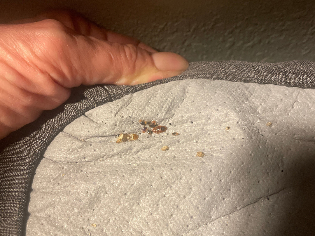 Holiday Inn Express & Suites St. Petersburg - Madeira Beach By IHG主图