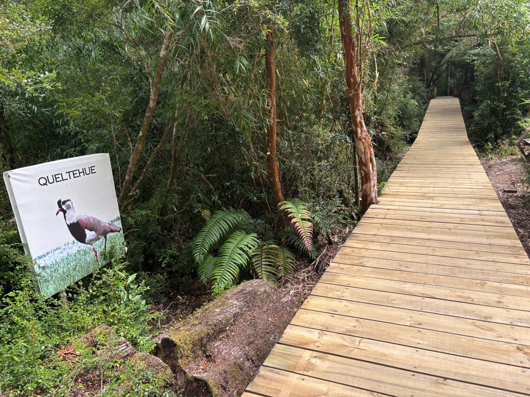 Termas De Pichicolo-Hornopiren必去景点