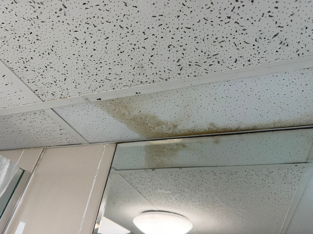 The Summit Apartments主图