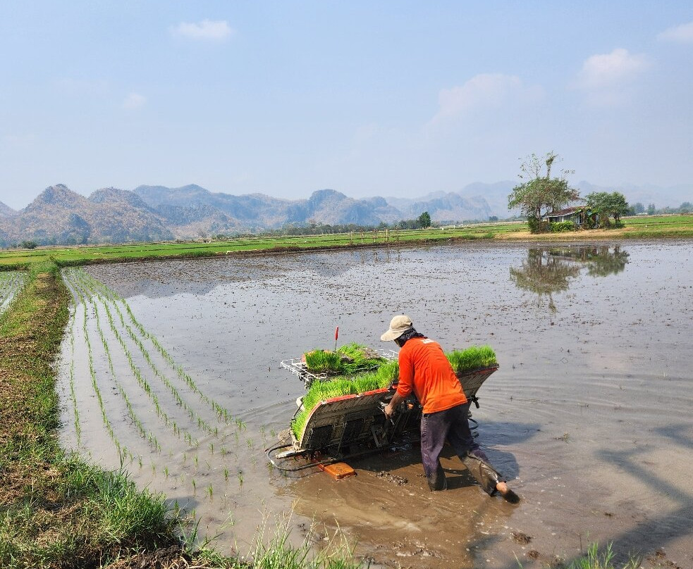 E-xperience by Safarine-北碧必去景点