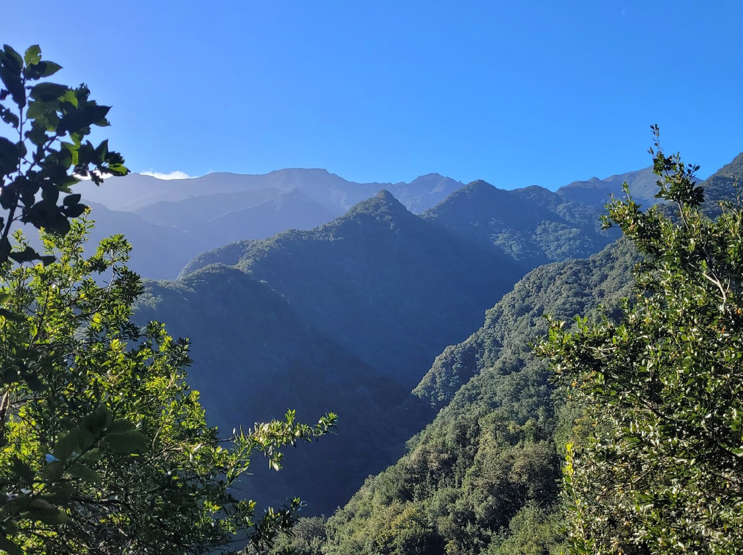 Levada Do Reí-Sao Jorge必去景点