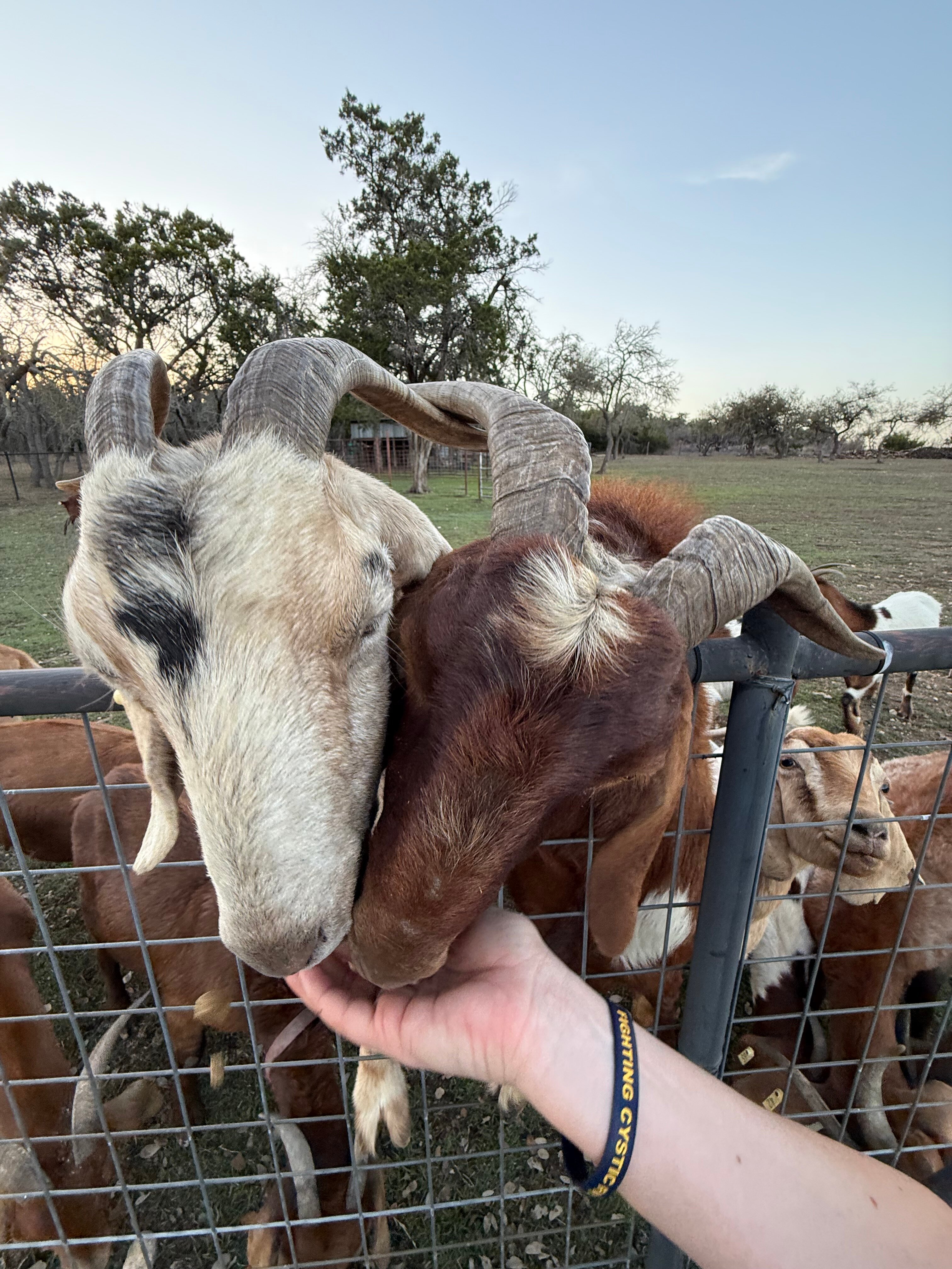 Star House-家庭/游戏区