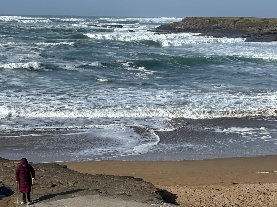 The Coast Lodge主图