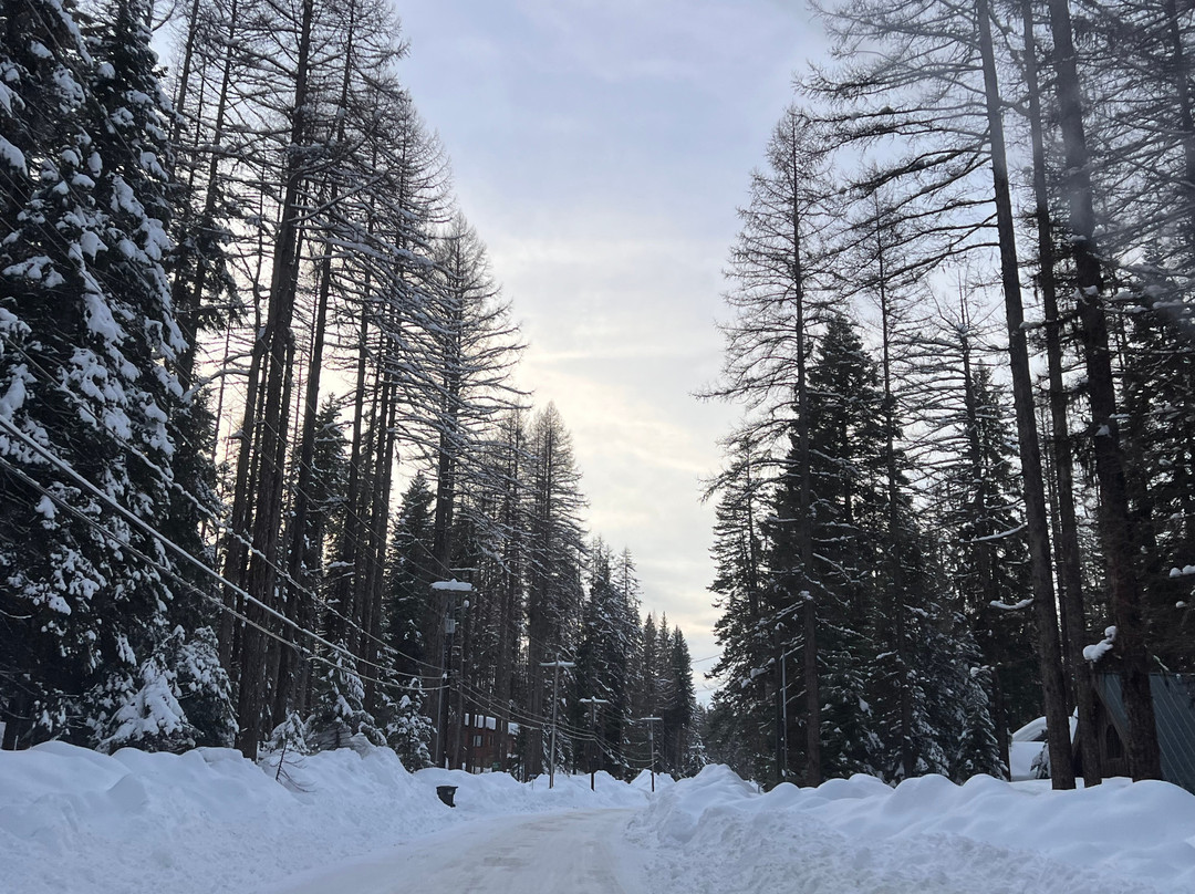 Brundage Bungalows主图