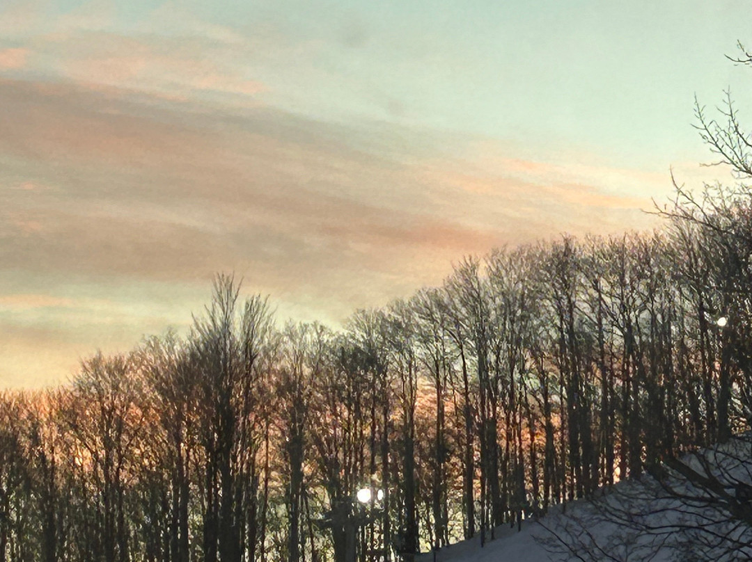 Baymont by Wyndham Beulah主图