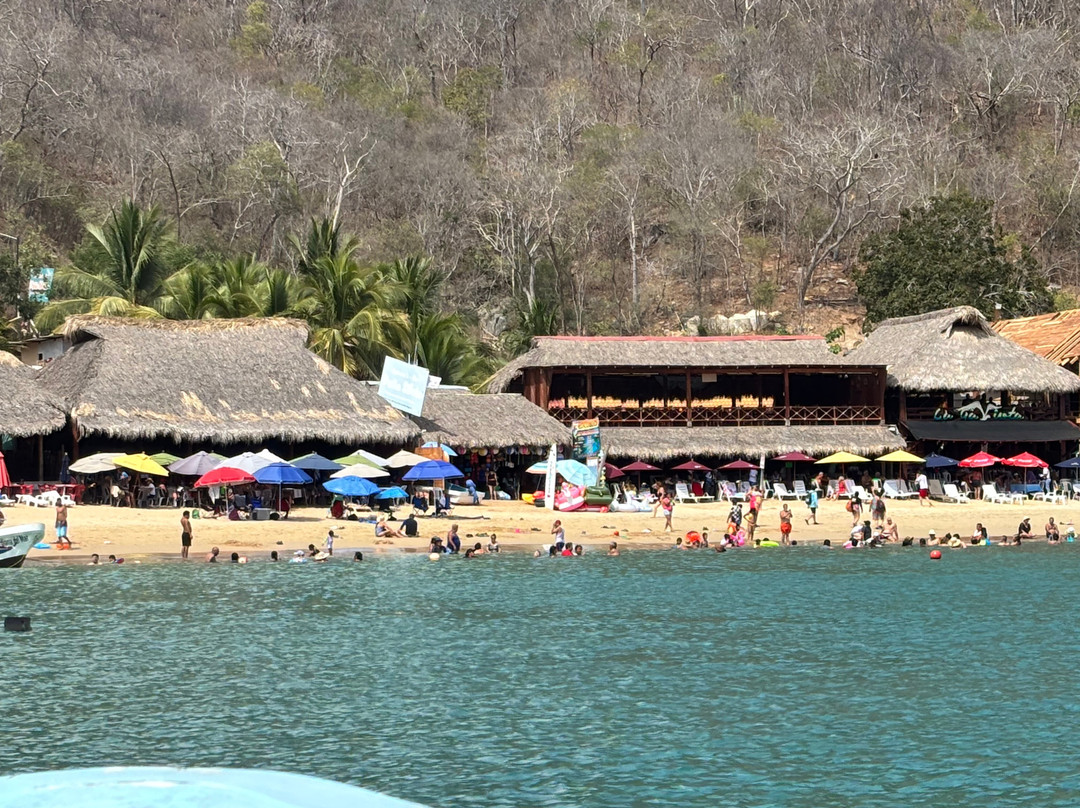 Oscar Velasquez-瓦图尔科必去景点