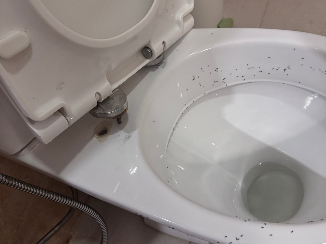 Omega Residence主图