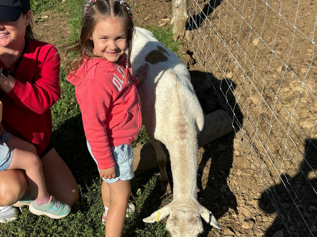 Belding Hill Farms-Hampton必去景点