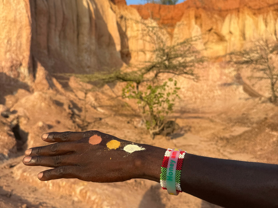 Giornale Kenya Safari - Day Tours-瓦塔木必去景点