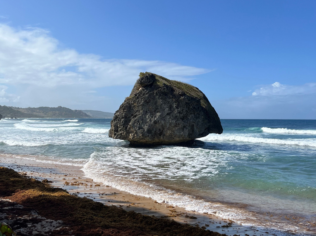 Ted's Tours-Hastings必去景点
